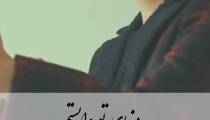 اجرای زیبای مهدی میرزائی با آهنگ سفر یعنی