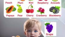 کلیپ کودکانه برای یادگیری میوه ها به زبان انگلیسی