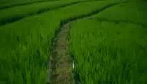 طبیعت