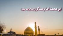 ولادت امام حسن عسگری (ع)