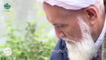بالاخره صف پاکان و ناپاکان جدا خواهد شد! - پخش در شبکه نیشابور تی وی