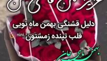 کلیپ ویژه تولد 7 بهمن ماهی