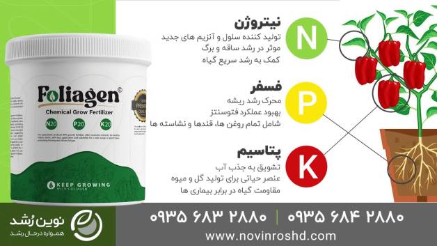 کود NPK چیست و انواع کودها | خرید بهترین کود برای گل ها