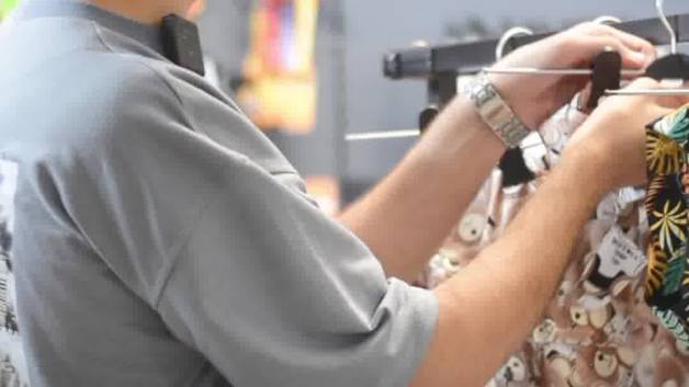 معرفی غذای گربه کیتن جوسرا