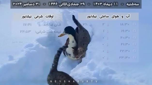هواشناسی ساعتی و اوقات شرعی سه‌شنبه ۱۱ دیماه ۱۴۰۳ | شبکه نیشابور تی‌ وی