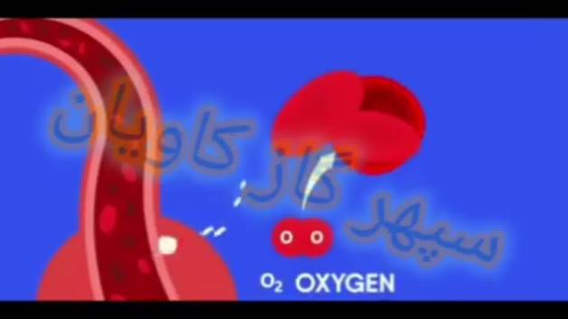 میزان اکسیژن طبیعی خون | گاز اکسیژن_سپهر گاز کاویان