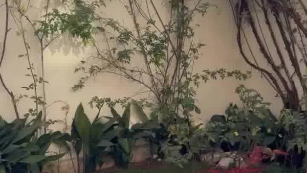 دندانپزشکی در قیطریه دکتر احمدی زاده