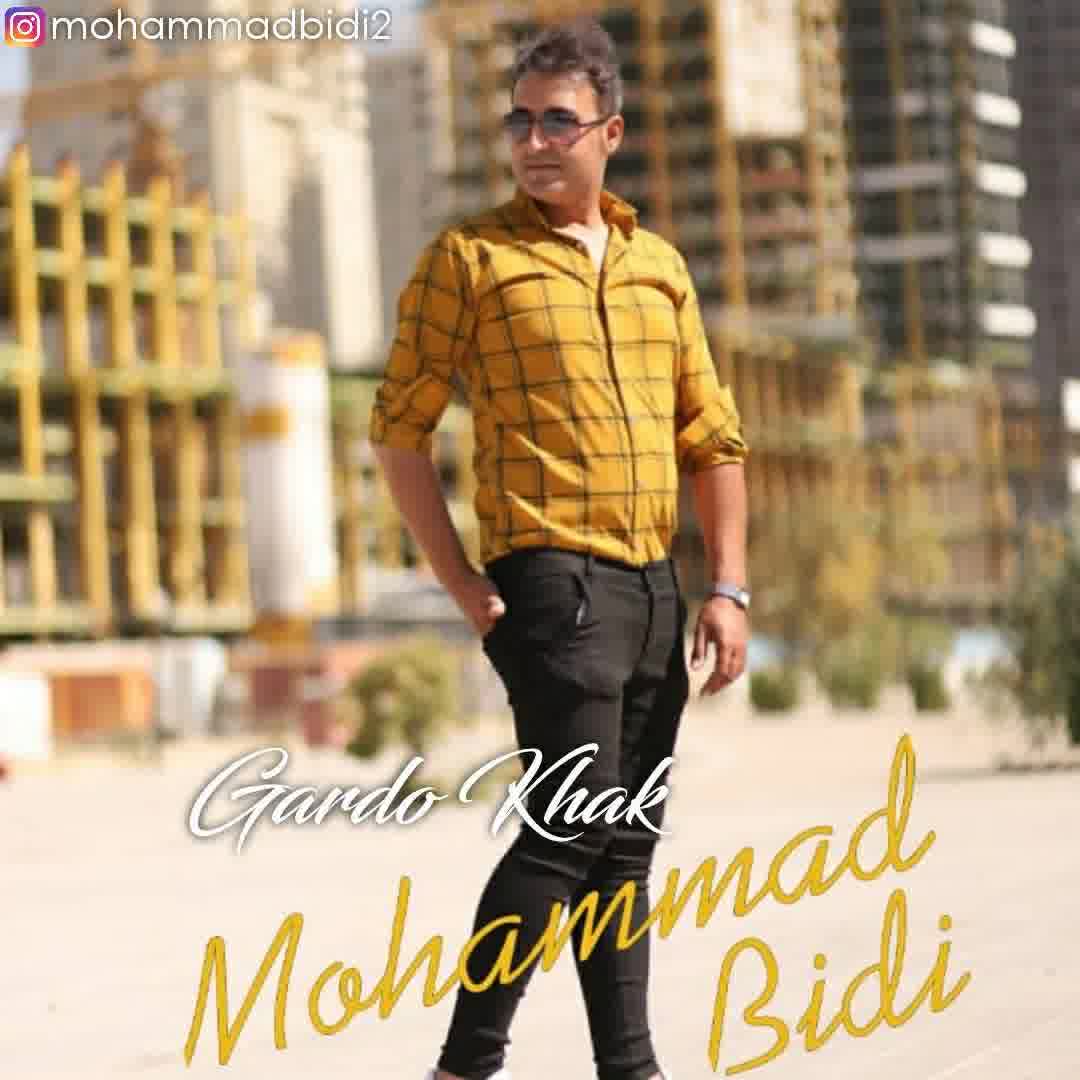 آهنگ جدید محمد بیدی به نام گرد و خاک