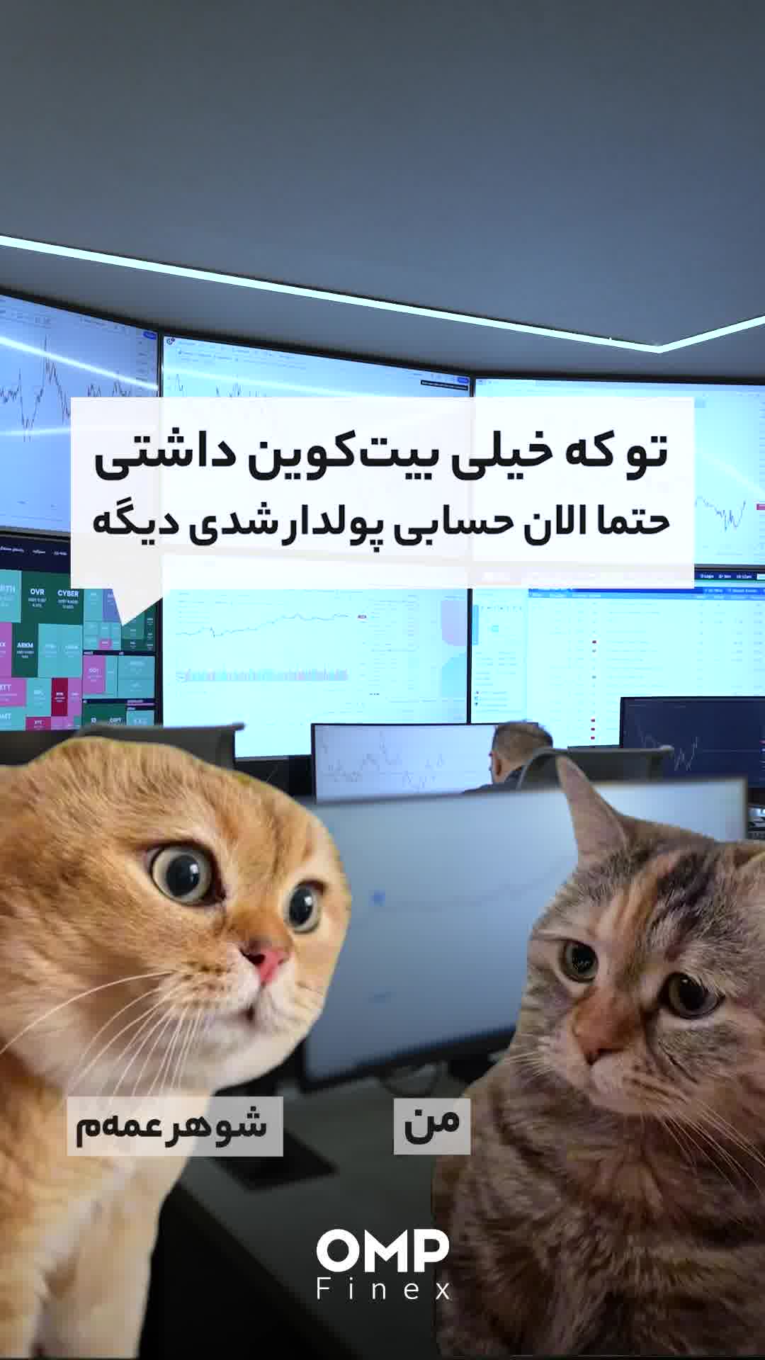 وضعیت اونایی که میگفتن بیت‌کوین نابود شده | او ام پی فینکس