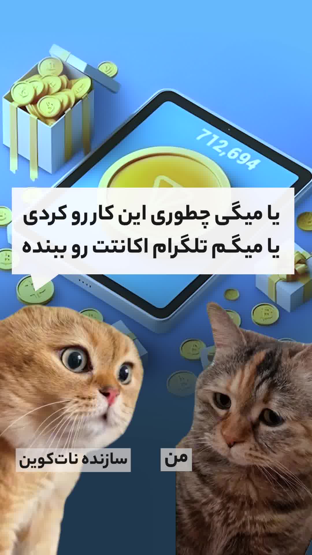 چطوری تو نات کوین رکورد بزنیم؟! | ompfinex