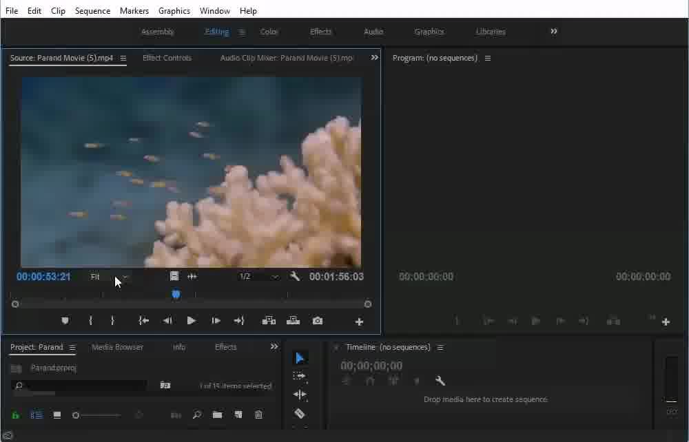 قسمت اول اموزش پانل های پریمیر