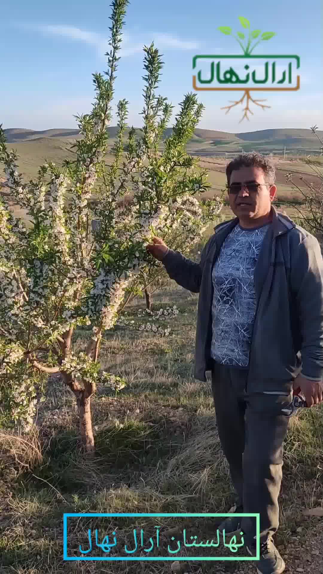 خرید نهال