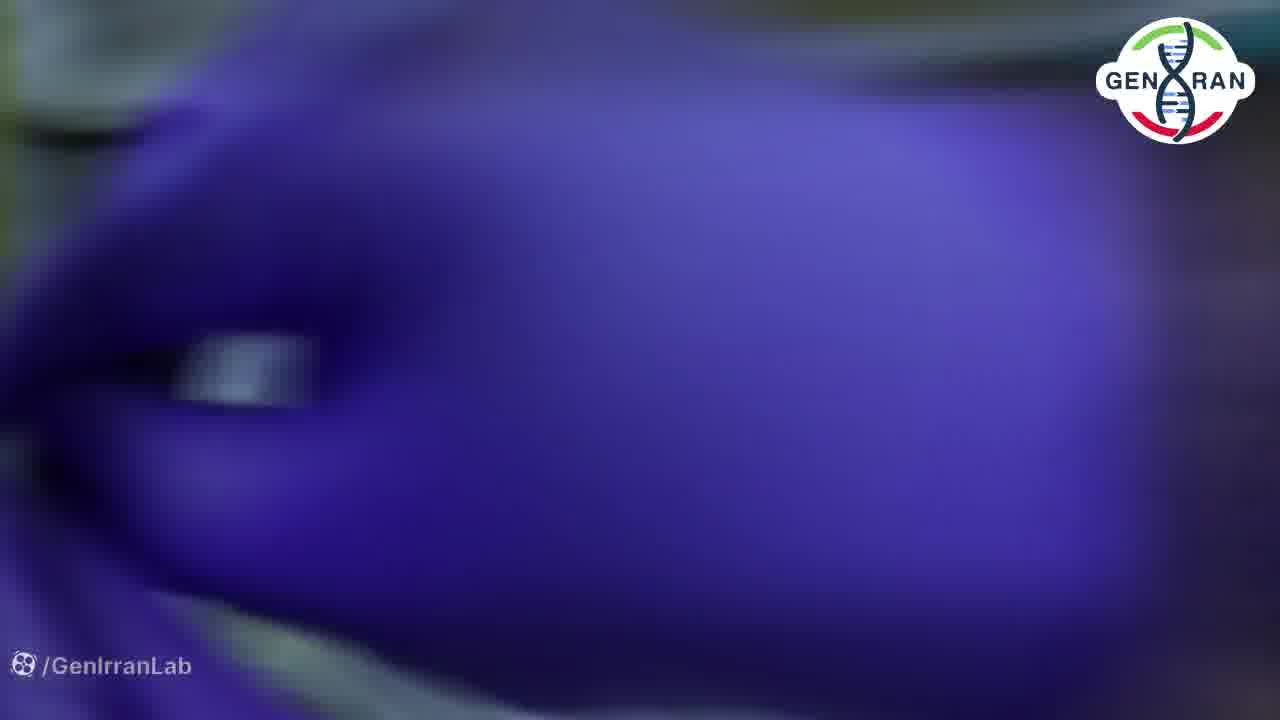 آموزش Transformation در مهندسی ژنتیک