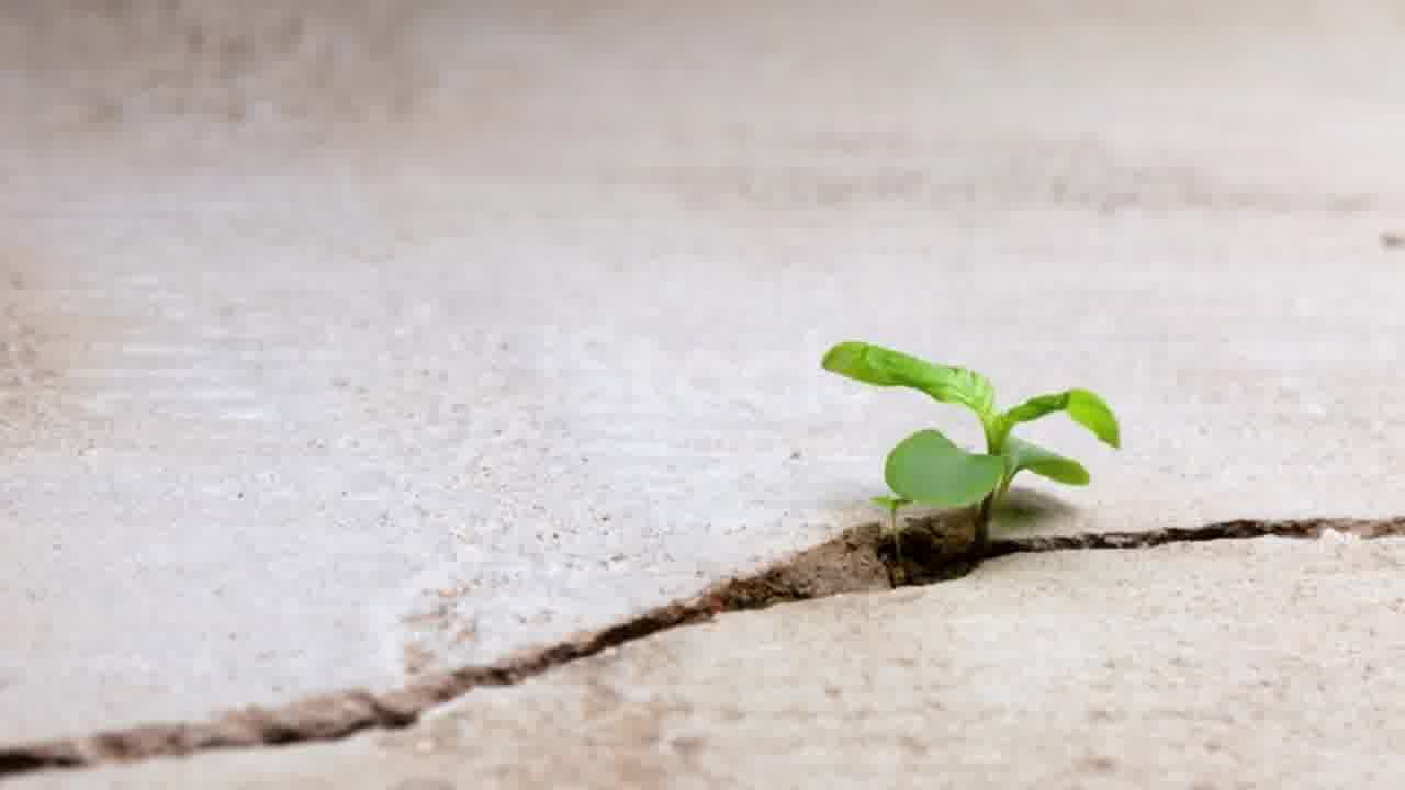 مواد ترمیم بتن و مقاوم سازی