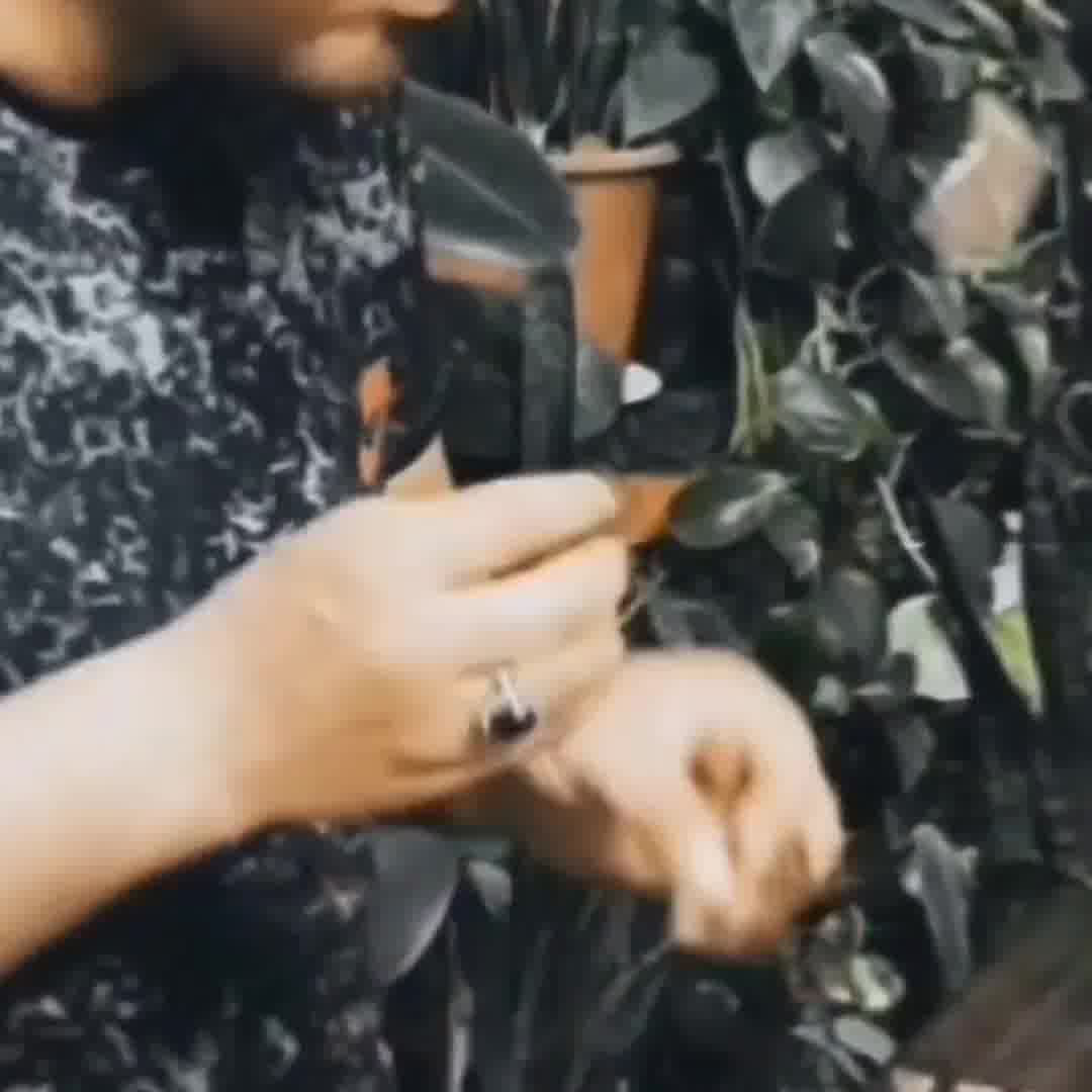 سنتور  آهنگ بیا بنویسیم