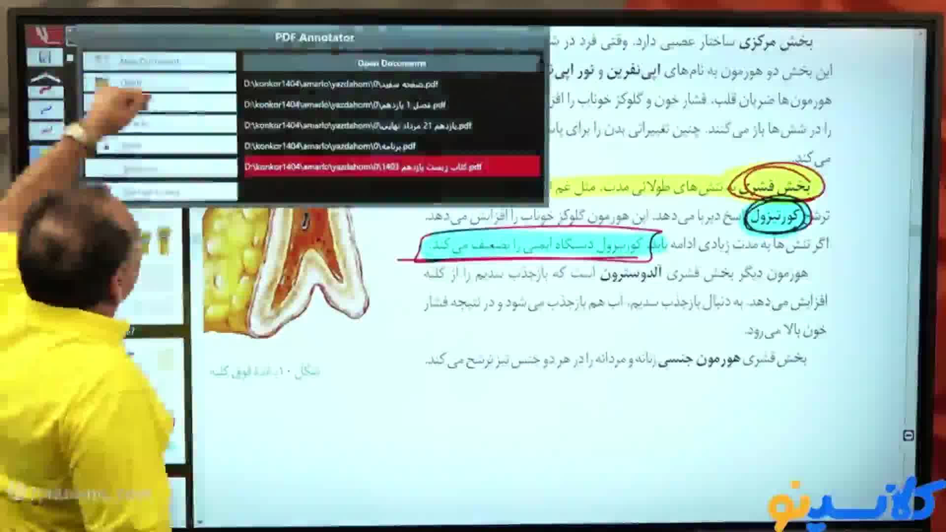 نکته و تست کلاسینو 1404 زیست شناسی محمد عمارلو