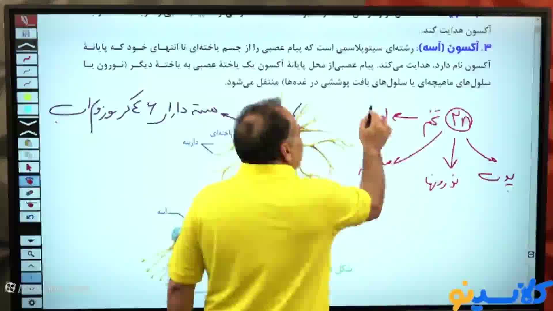 نکته و تست کلاسینو 1404 زیست شناسی محمد عمارلو